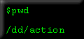 /dd/action